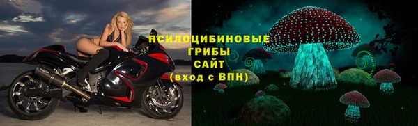 гидропоника Абаза