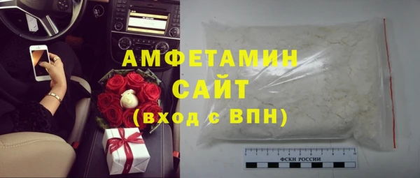 мет Алексин