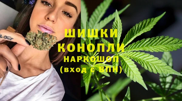 гидропоника Абаза