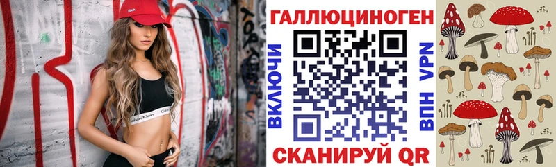 Галлюциногенные грибы Psilocybine cubensis  Алдан 